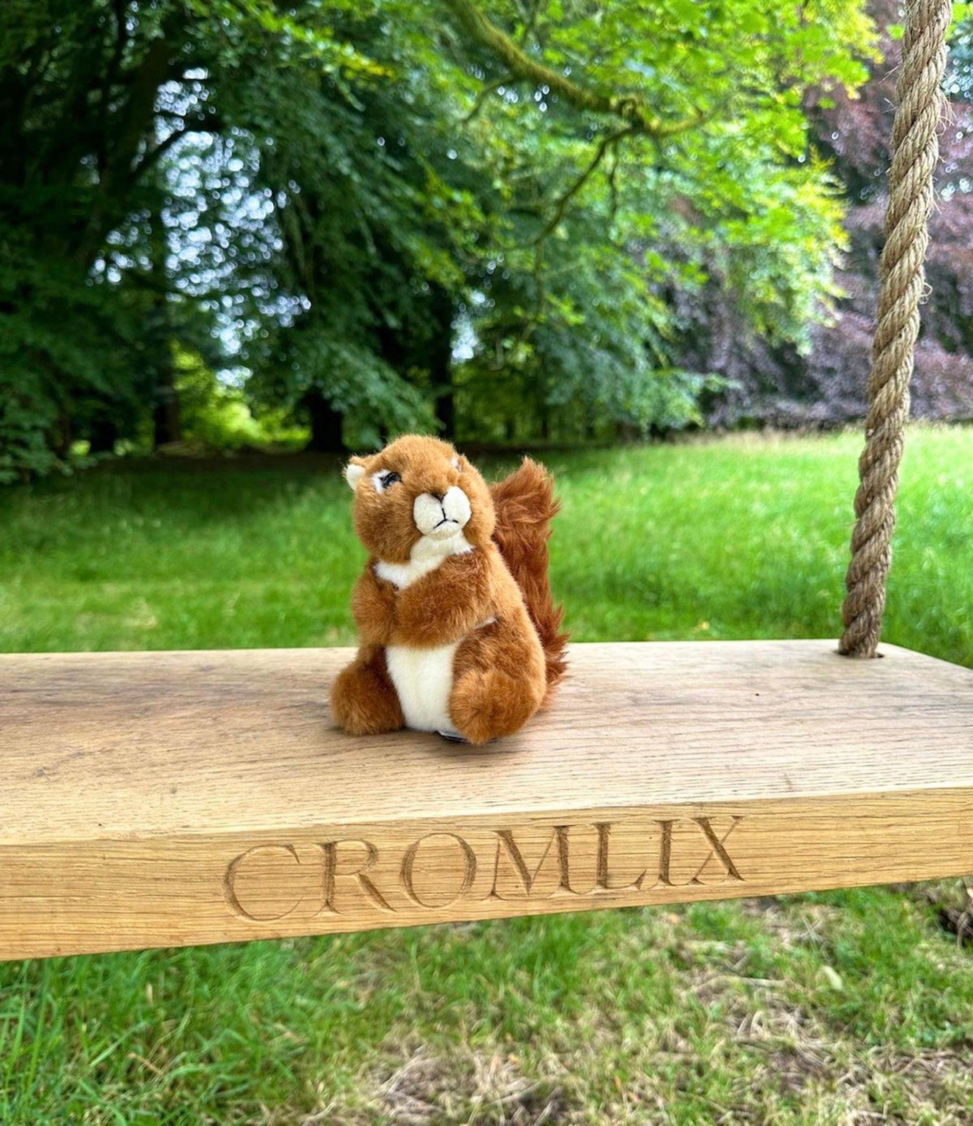 Rusty Squirrel on Swing
