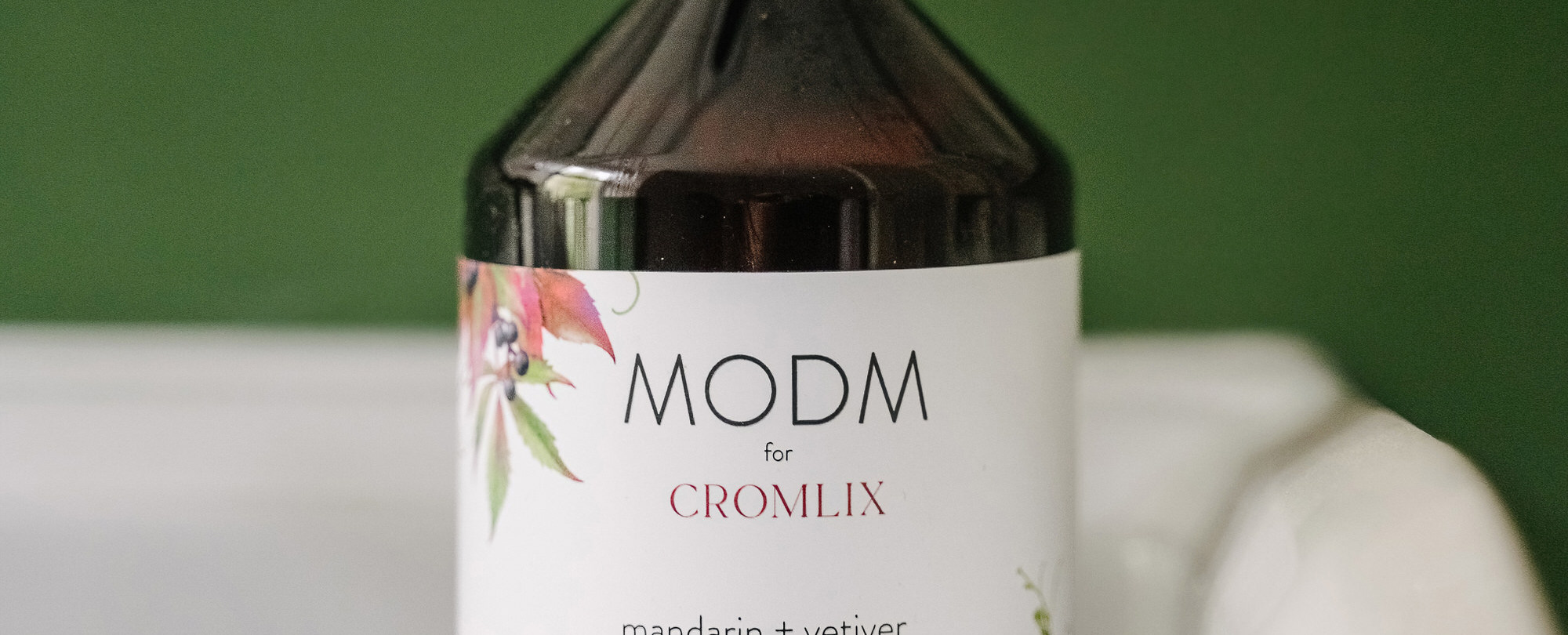 IMG 4686 1
