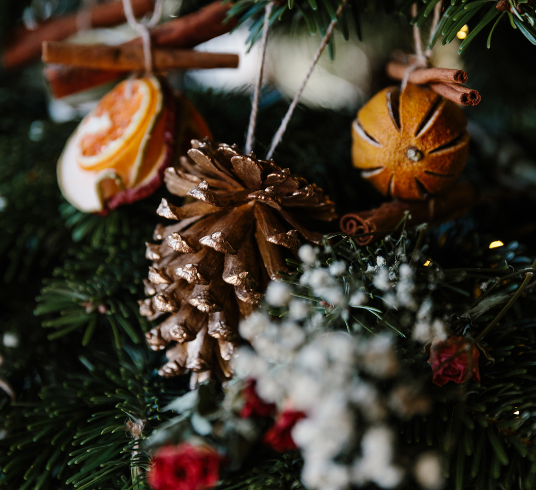 545E0396 54BF 4B91 A0B2 0191EC0AFB2F